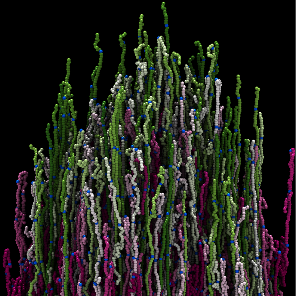 green and purple elongated polymer chains on black background